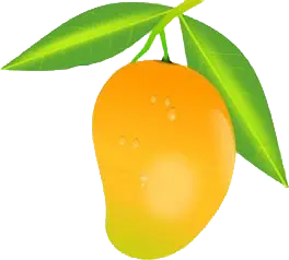 natural baby food powder