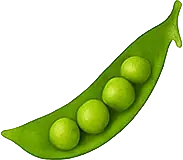 peas_img-1